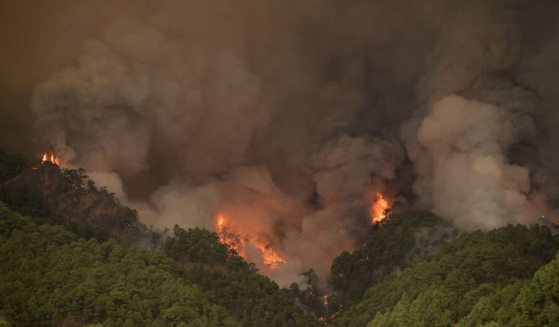 Tenerife afronta las devastadoras consecuencias del peor incendio sufrido en 40 años