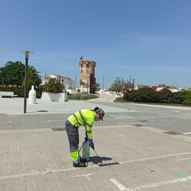 EuropaPress 4460291 tratamiento contra mosquito tigre paterna (1) EuropaPress 4460291 tratamiento contra mosquito tigre paterna (1)