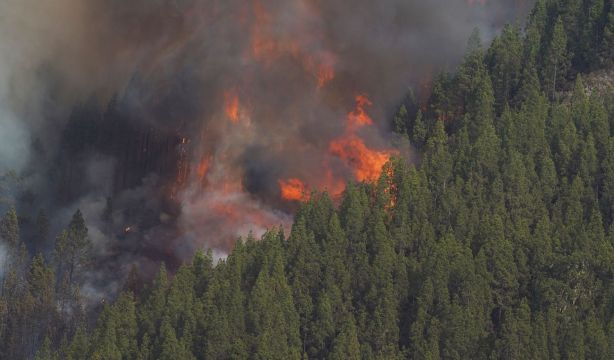Multas de hasta mil euros por fumar o 3 años de cárcel por provocar un incendio en el monte