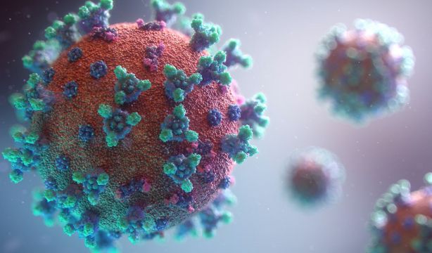 Descubren que haberse contagiado de otros coronavirus ayuda en la protección frente al Covid