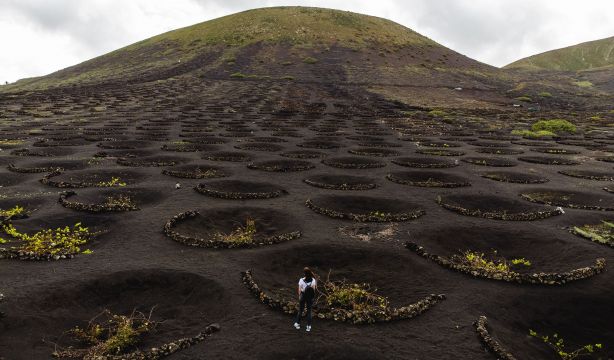 El increíble vino que viene de tierra volcánica y cuesta menos de 15 euros