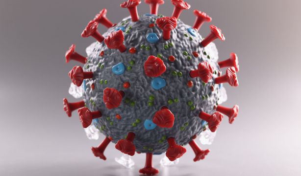 ¿Qué es la variante 'Pirola' del Covid y por qué los científicos la estudian con detalle?