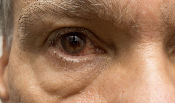 De esta manera el sistema visual contribuye a nuestra memoria