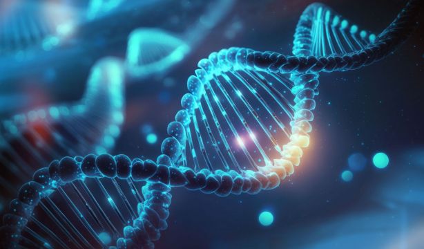 Crean una herramienta que predice donde se desarrolla cáncer en los genomas