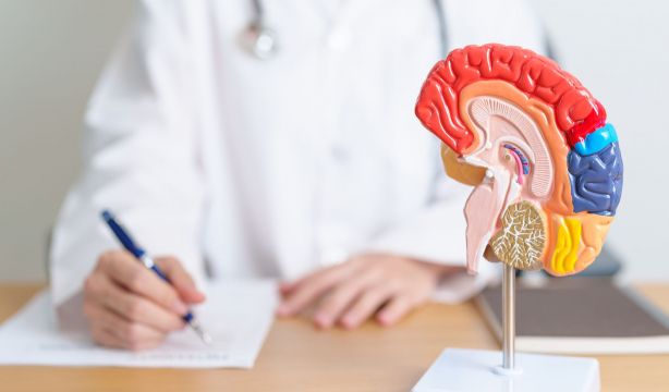 Nuevo "camino molecular" para tratar el alzhéimer con células madre