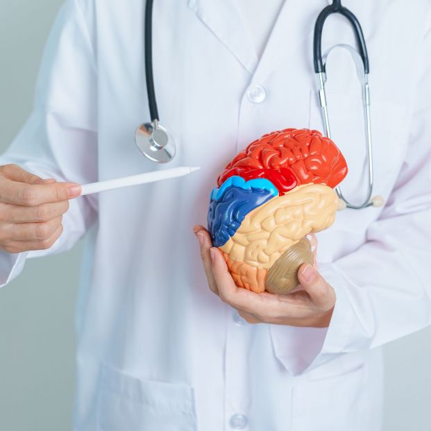 Una buena salud cardiovascular también ayuda a prevenir el alzhéimer Una buena salud cardiovascular también ayuda a prevenir el alzhéimer