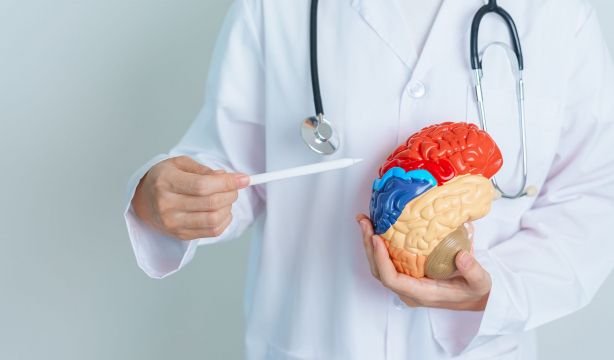 Una buena salud cardiovascular también ayuda a prevenir el alzhéimer