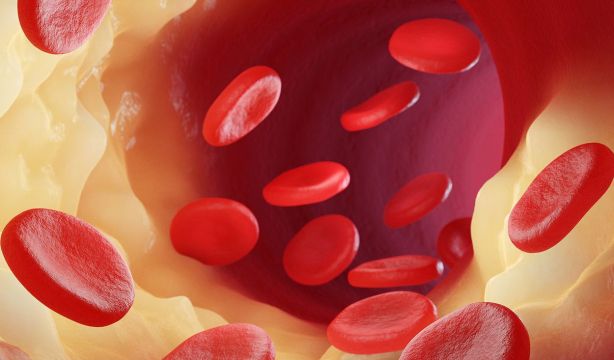 Todo sobre el colesterol: ¿cuánto debemos tener como máximo?, ¿aumenta con la edad?