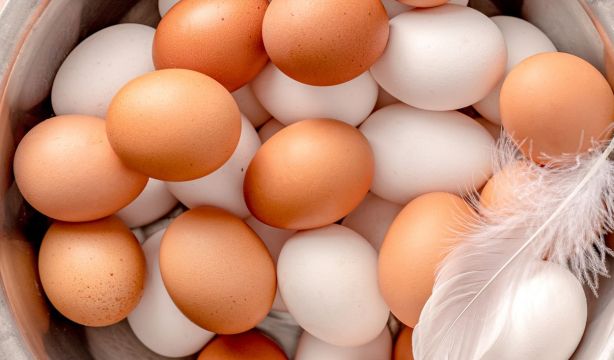 Huevos: ¿qué indica el color de la cáscara?, ¿cómo saber si están frescos?