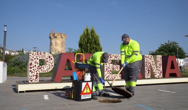 Alertan de un repunte de plagas de mosquitos, cucarachas y ratas tras la DANA