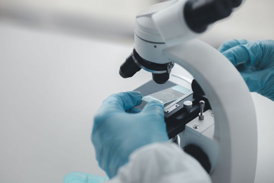 Alzhéimer: estos son los últimos avances frente a la enfermedad que afecta a 1 millón de españoles Alzhéimer: estos son los últimos avances frente a la enfermedad que afecta a 1 millón de españoles