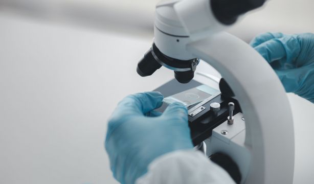 Alzhéimer: estos son los últimos avances frente a la enfermedad que afecta a 1 millón de españoles