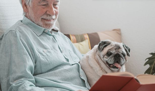 Ley de Bienestar Animal: recomiendan revisar las pólizas para evitar sorpresas