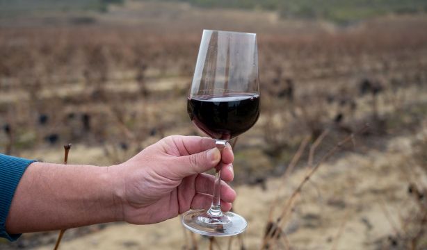 El vino español que conquista a los críticos de todo el mundo