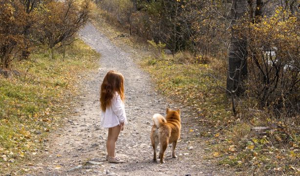 Encuentran a una niña de dos años durmiendo con sus perros en el bosque