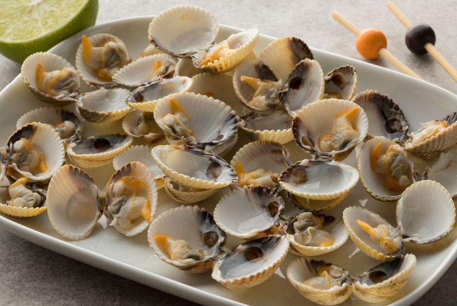 Investigadores gallegos arrojan luz sobre un extraño cáncer contagioso que afecta a los berberechos