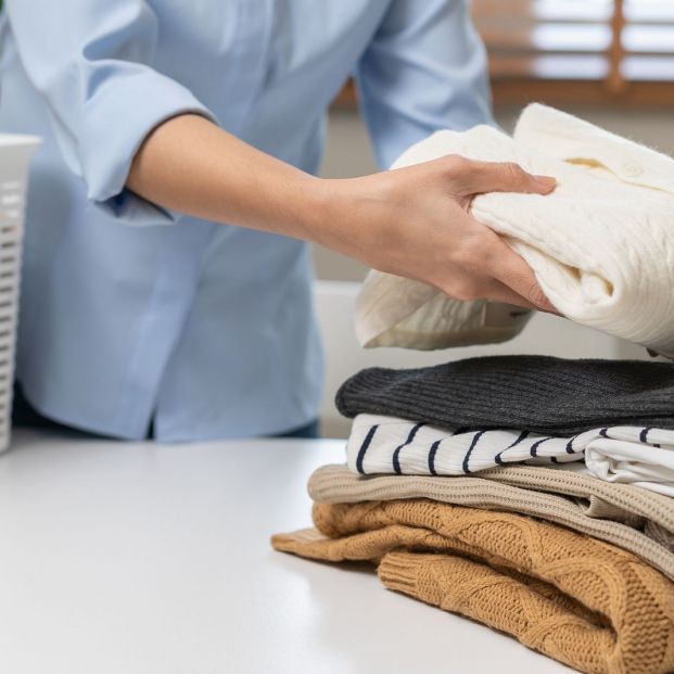 La plaga de chinches también afecta a España: dónde se esconden y cómo acabar con ellas La plaga de chinches también afecta a España: dónde se esconden y cómo acabar con ellas