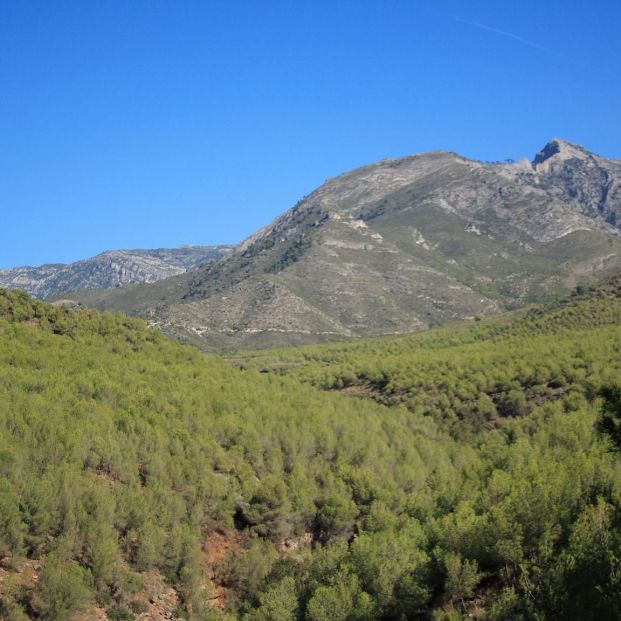 Estos son los mejores parques naturales de Españapara una escapada de otoño