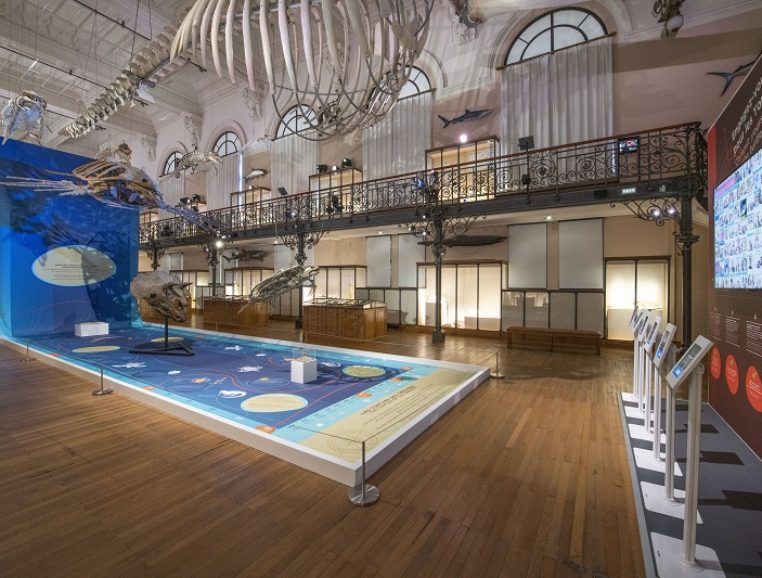 Museo Oceanográfico monaco Museo Oceanográfico monaco