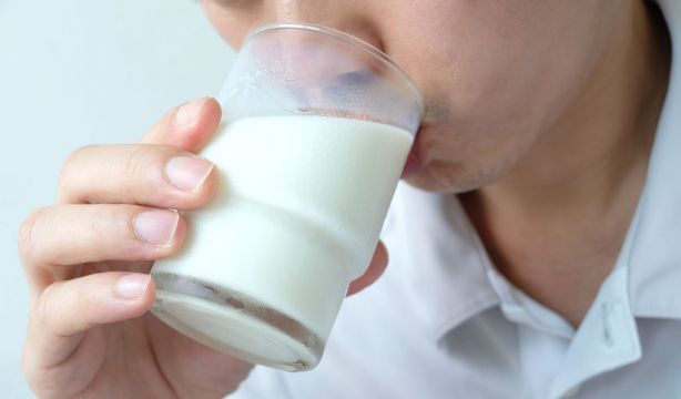 Descubren la importancia de los glóbulos de grasa de la leche  en el crecimiento bacteriano . BigStock