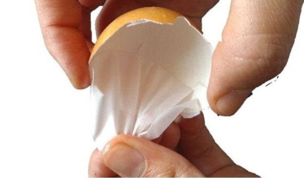 La membrana de huevo, un aliado para la regeneración ósea