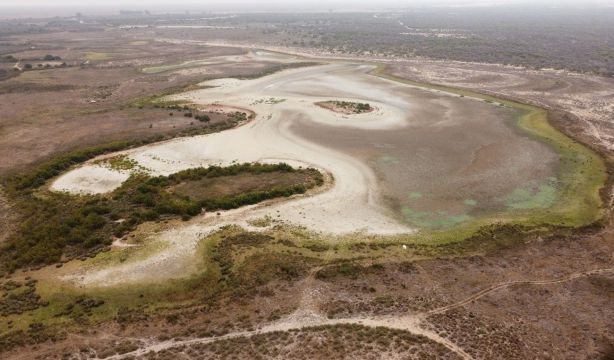 Oído cocina: necesitamos agua