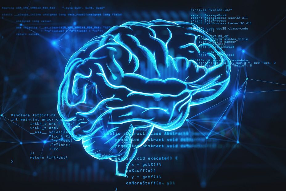 Los nuevos mapas celulares detallados de todo el cerebro desvelan qué nos hace humanos Los nuevos mapas celulares detallados de todo el cerebro desvelan qué nos hace humanos