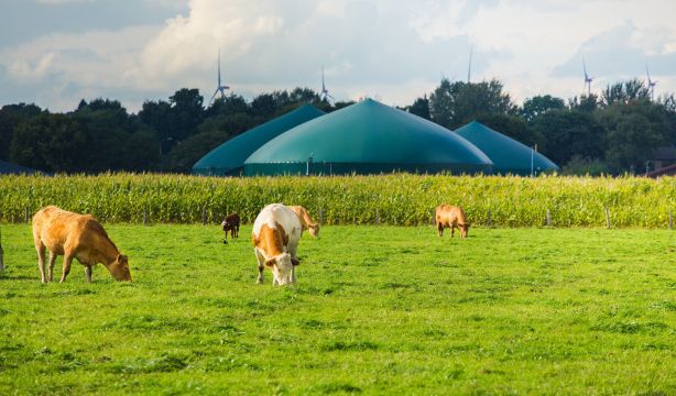 Cepsa inicia su actividad en el desarrollo de plantas de producción de biometano