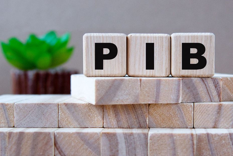 PIB vs. desarrollo sostenible PIB vs. desarrollo sostenible