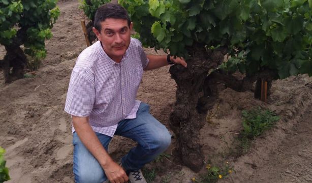 Gregorio Muñoz, IMIDRA: "En cuestión de vinos, España es mucho más que Rioja y Ribera"