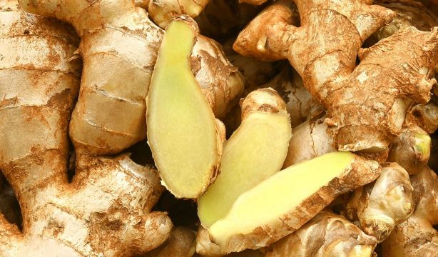 Descubren las propiedades anticancerígenas del jengibre