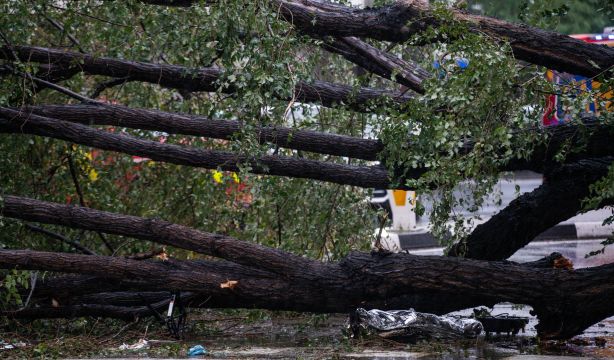 'Ciarán' causa estragos en España: una fallecida, caídas de árboles y vuelos y trenes cancelados