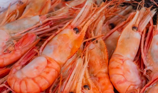 Del mar a la mesa: ¿tiene mucho ácido úrico el marisco?, ¿cómo saber si una ostra está fresca?