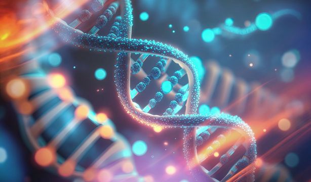 ¿Qué son los "genes saltarines" y cómo pueden ralentizar el envejecimiento?