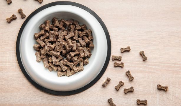 Ahorra 665 euros al año eligiendo la mejor opción de pienso para tu mascota