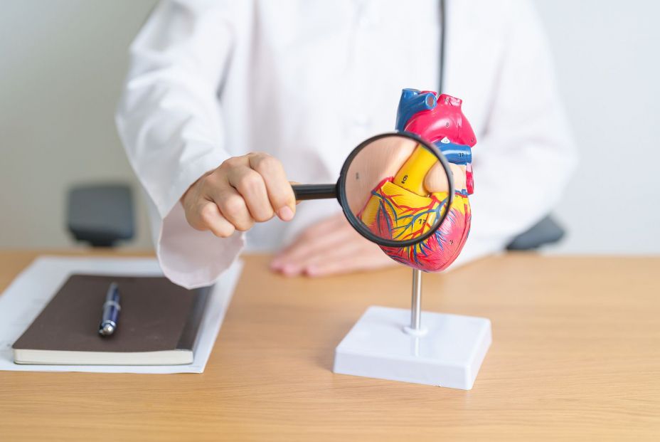 Incluso dormir es más beneficioso para el corazón que permanecer mucho tiempo sentado Incluso dormir es más beneficioso para el corazón que permanecer mucho tiempo sentado