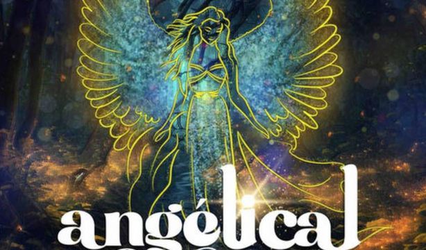 El Jardín Botánico de Málaga se convertirá en 'Angélical: El Reino de los Ángeles de la Navidad'