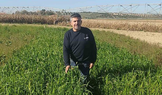 Roberto Saiz: "Las leguminosas son un auténtico tesoro, las especies raras deben llegar a la cocina". Foto: Roberto Saiz