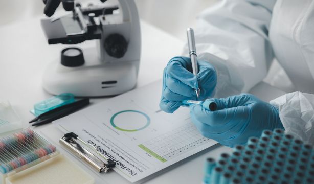 Identifican una proteína que es clave para la esperanza de vida y el envejecimiento saludable