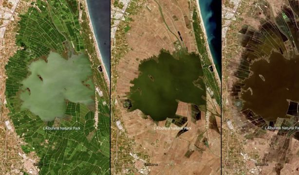 ¿Por qué se han teñido de color chocolate las aguas de la Albufera?