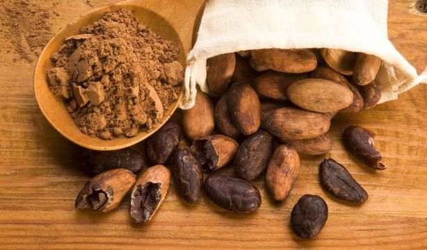 Los beneficios del suplemento de extracto de cacao en las personas mayores