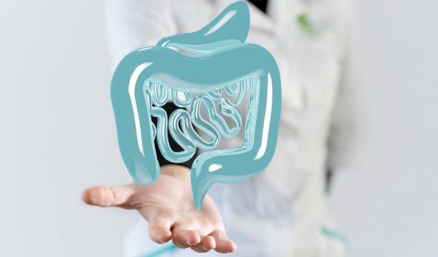 El CSIC sugiere que la microbiota intestinal influiría en la salud cognitiva en el envejecimiento