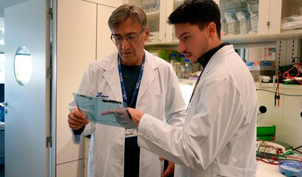 lizcano espinosa resistencia cancer