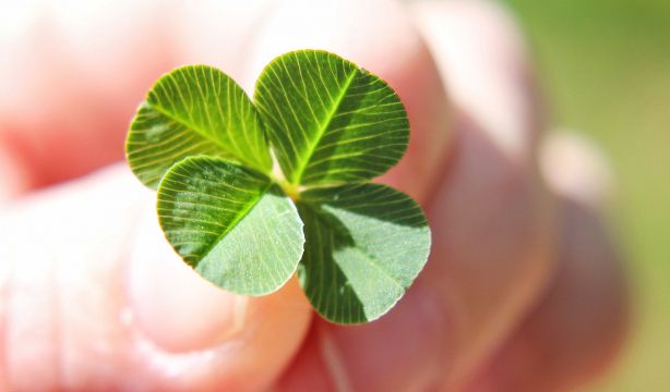 Ilusionarse puede resultarle barato, pero sea cauto