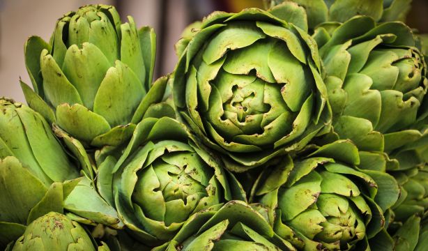 Un estudio apunta al uso de plantas para tratar tumores y enfermedades raras
