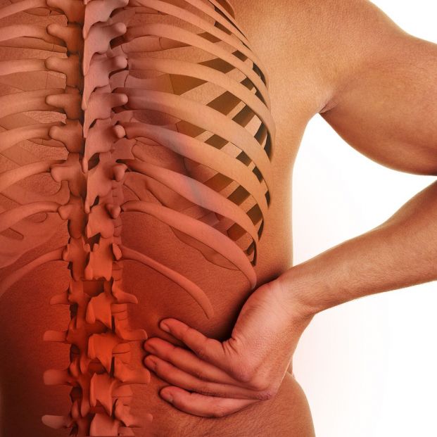 Entrenamiento para los dolores en las dorsales Entrenamiento para los dolores en las dorsales