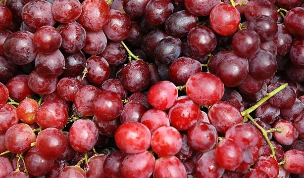 El 'boom' de las uvas sin pepitas: ¿por qué se han vuelto tan populares en los supermercados?