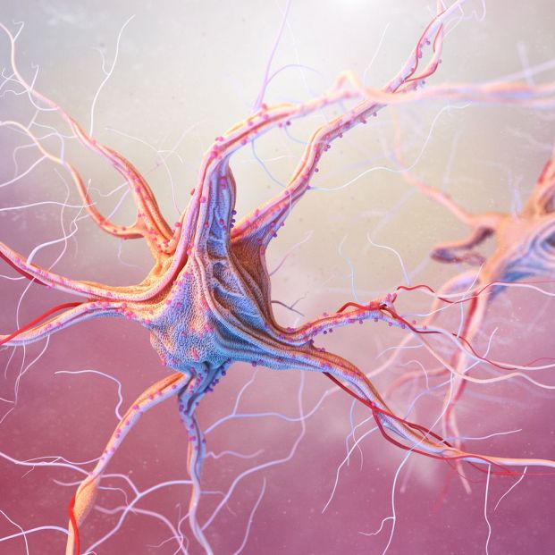 Ataques epilépticos Ataques epilépticos