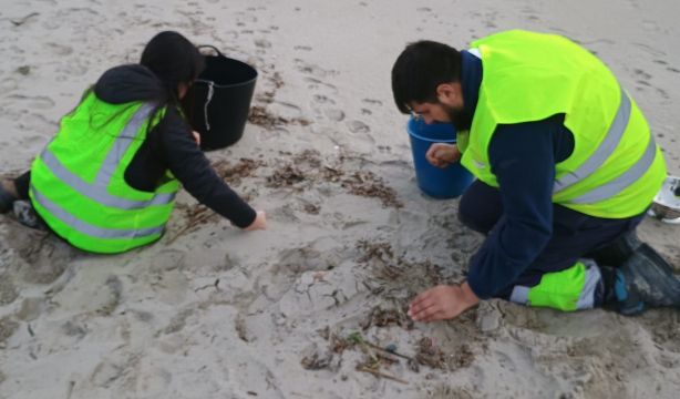 Los pellets de plástico llegan a Asturias, que sube al nivel 2 el plan de contaminación marina
