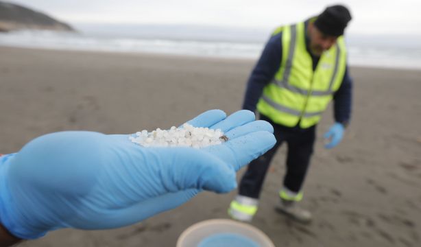 El informe de la Xunta asegura que los pellets no son peligrosos y aptos "para uso alimentario"